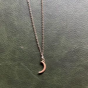 ❗️CLOSET CLEAR OUT 
 Necklace